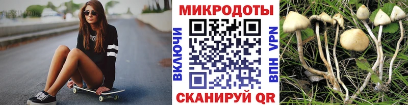Псилоцибиновые грибы ЛСД Хвалынск